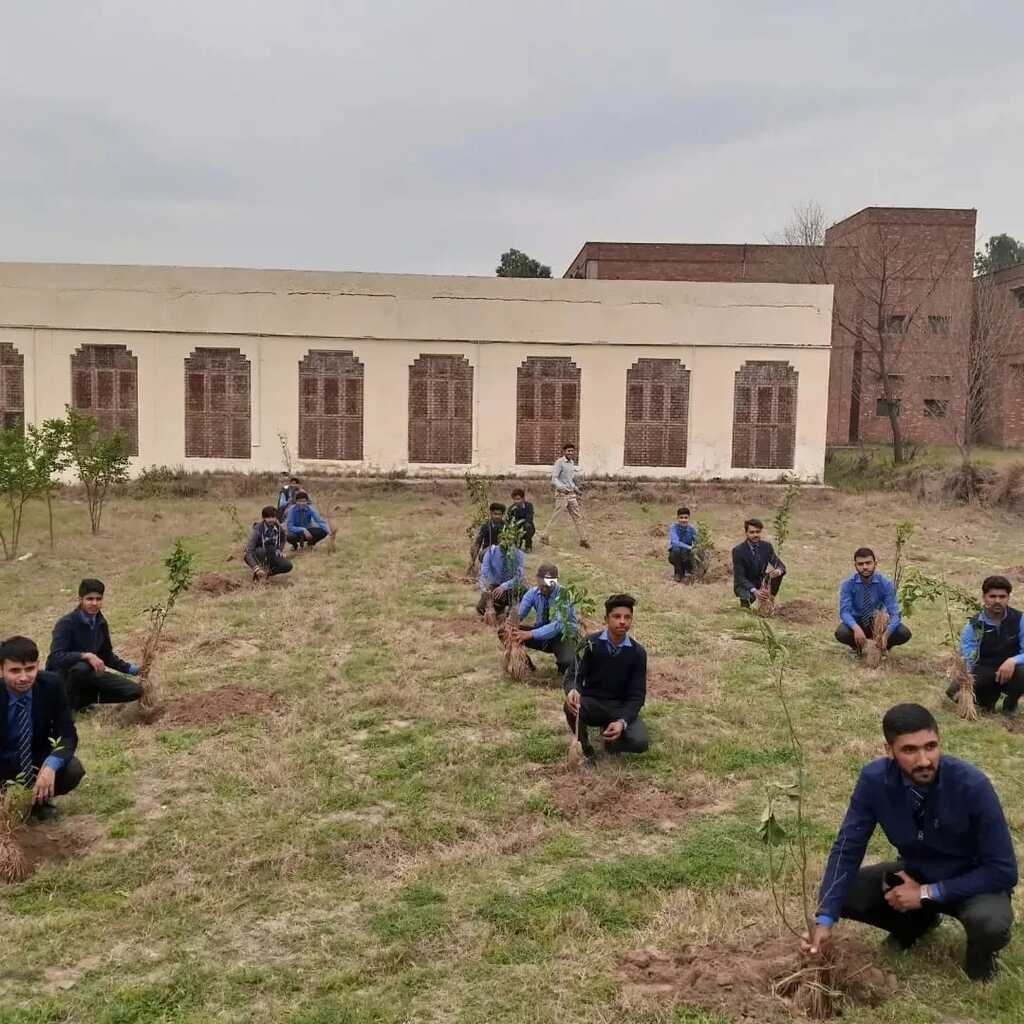 Tree Plantation Drive in college