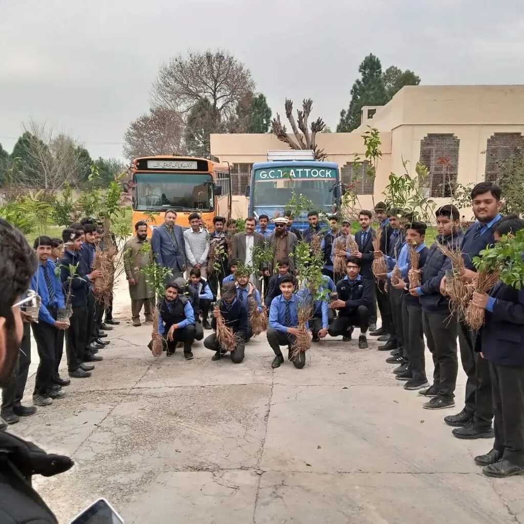 Tree Plantation Drive in college