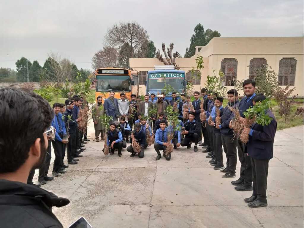 Tree Plantation Drive in college